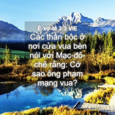 Picture 04 - Ê-xơ-tê 3:3 VIE - Các thần bộc ở nơi cửa vua bèn nói - Bible Verse Picture