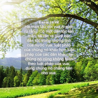 Picture 04 - Ê-xơ-tê 3:8 VIE - Ha-man tâu với vua A-suê-ru rằng: Có một - Bible Verse Picture