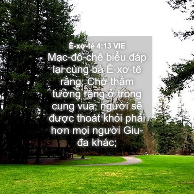Picture 04 - Ê-xơ-tê 4:13 VIE - Mạc-đô-chê biểu đáp lại cùng bà - Bible Verse Picture