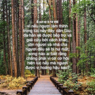 Picture 04 - Ê-xơ-tê 4:14 VIE - vì nếu ngươi làm thinh trong lúc nầy - Bible Verse Picture