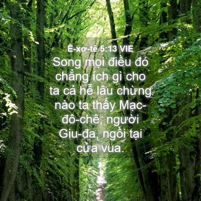 Picture 04 - Ê-xơ-tê 5:13 VIE - Song mọi điều đó chẳng ích gì cho ta - Bible Verse Picture