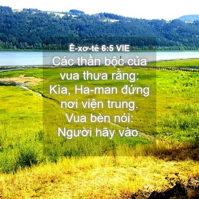 Picture 04 - Ê-xơ-tê 6:5 VIE - Các thần bộc của vua thưa rằng: Kìa, - Bible Verse Picture