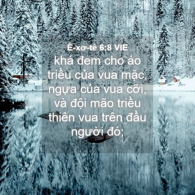 Picture 04 - Ê-xơ-tê 6:8 VIE - khá đem cho áo triều của vua mặc, ngựa - Bible Verse Picture