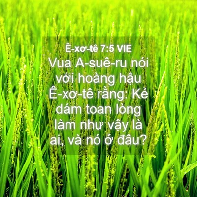 Picture 04 - Ê-xơ-tê 7:5 VIE - Vua A-suê-ru nói với hoàng hậu Ê-xơ-tê - Bible Verse Picture