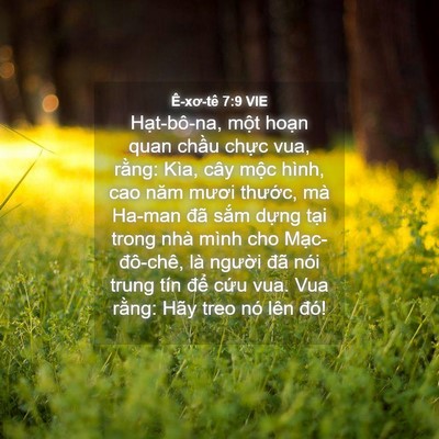 Picture 04 - Ê-xơ-tê 7:9 VIE - Hạt-bô-na, một hoạn quan chầu chực - Bible Verse Picture