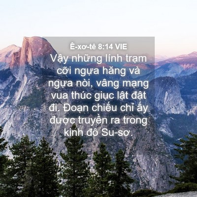 Picture 04 - Ê-xơ-tê 8:14 VIE - Vậy những lính trạm cỡi ngựa hăng và - Bible Verse Picture