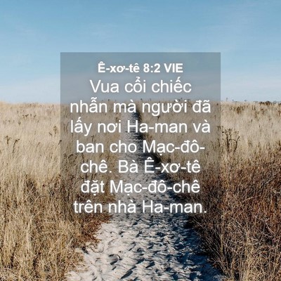 Picture 04 - Ê-xơ-tê 8:2 VIE - Vua cổi chiếc nhẫn mà người đã lấy - Bible Verse Picture
