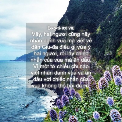 Picture 04 - Ê-xơ-tê 8:8 VIE - Vậy, hai ngươi cũng hãy nhân danh vua mà - Bible Verse Picture