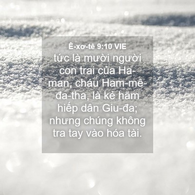 Picture 04 - Ê-xơ-tê 9:10 VIE - tức là mười người con trai của Ha-man, - Bible Verse Picture