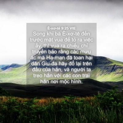 Picture 04 - Ê-xơ-tê 9:25 VIE - Song khi bà Ê-xơ-tê đến trước mặt vua - Bible Verse Picture