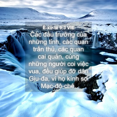 Picture 04 - Ê-xơ-tê 9:3 VIE - Các đầu trưởng của những tỉnh, các - Bible Verse Picture