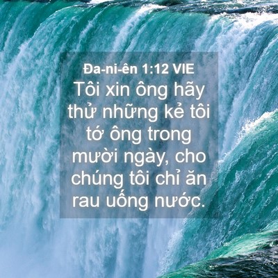 Picture 04 - Ða-ni-ên 1:12 VIE - Tôi xin ông hãy thử những kẻ tôi tớ - Bible Verse Picture