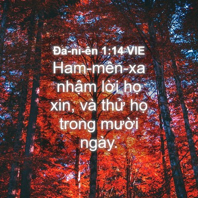Picture 04 - Ða-ni-ên 1:14 VIE - Ham-mên-xa nhậm lời họ xin, và thử họ - Bible Verse Picture