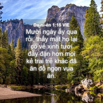 Picture 04 - Ða-ni-ên 1:15 VIE - Mười ngày ấy qua rồi, thấy mặt họ - Bible Verse Picture