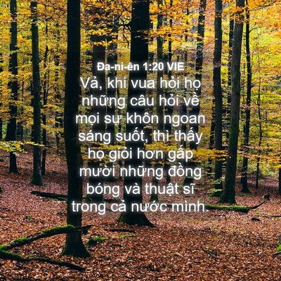 Picture 04 - Ða-ni-ên 1:20 VIE - Vả, khi vua hỏi họ những câu hỏi về - Bible Verse Picture