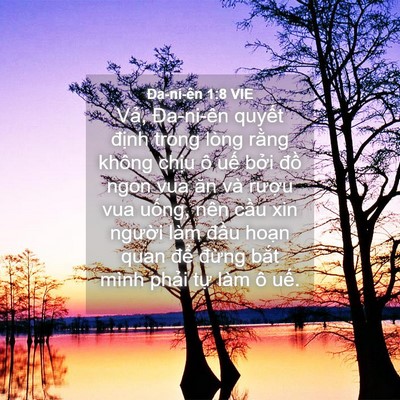Picture 04 - Ða-ni-ên 1:8 VIE - Vả, Đa-ni-ên quyết định trong lòng - Bible Verse Picture