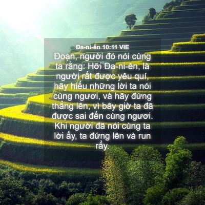 Picture 04 - Ða-ni-ên 10:11 VIE - Đoạn, người đó nói cùng ta rằng: - Bible Verse Picture