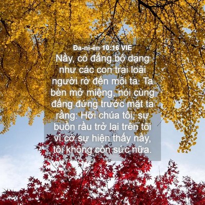 Picture 04 - Ða-ni-ên 10:16 VIE - Nầy, có đấng bộ dạng như các con trai - Bible Verse Picture