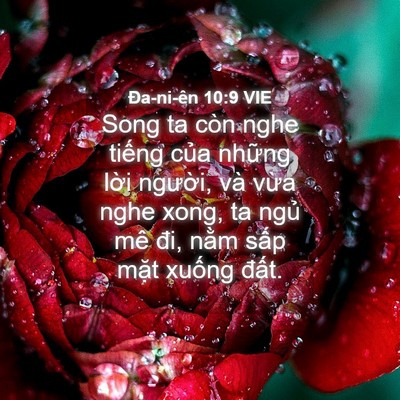 Picture 04 - Ða-ni-ên 10:9 VIE - Song ta còn nghe tiếng của những lời - Bible Verse Picture