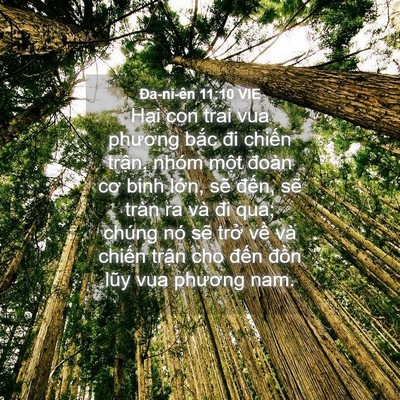 Picture 04 - Ða-ni-ên 11:10 VIE - Hai con trai vua phương bắc đi chiến - Bible Verse Picture