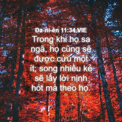 Picture 04 - Ða-ni-ên 11:34 VIE - Trong khi họ sa ngã, họ cũng sẽ được - Bible Verse Picture