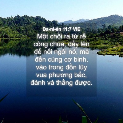 Picture 04 - Ða-ni-ên 11:7 VIE - Một chồi ra từ rễ công chúa, dấy lên - Bible Verse Picture