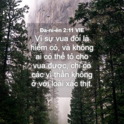 Picture 04 - Ða-ni-ên 2:11 VIE - Vì sự vua đòi là hiếm có, và không ai - Bible Verse Picture
