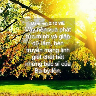 Picture 04 - Ða-ni-ên 2:12 VIE - Vậy nên vua phát tức mình và giận dữ - Bible Verse Picture