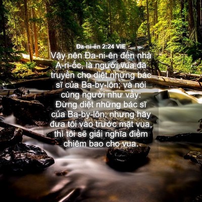 Picture 04 - Ða-ni-ên 2:24 VIE - Vậy nên Đa-ni-ên đến nhà A-ri-ốc, là - Bible Verse Picture