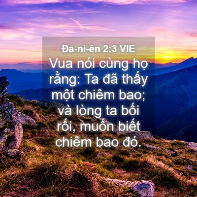 Picture 04 - Ða-ni-ên 2:3 VIE - Vua nói cùng họ rằng: Ta đã thấy một - Bible Verse Picture