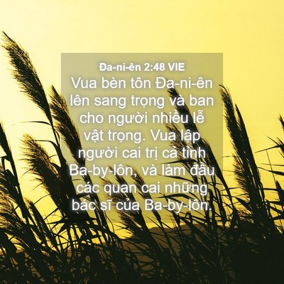 Picture 04 - Ða-ni-ên 2:48 VIE - Vua bèn tôn Đa-ni-ên lên sang trọng và - Bible Verse Picture