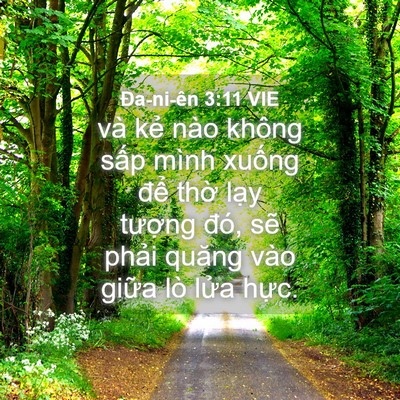 Picture 04 - Ða-ni-ên 3:11 VIE - và kẻ nào không sấp mình xuống để - Bible Verse Picture