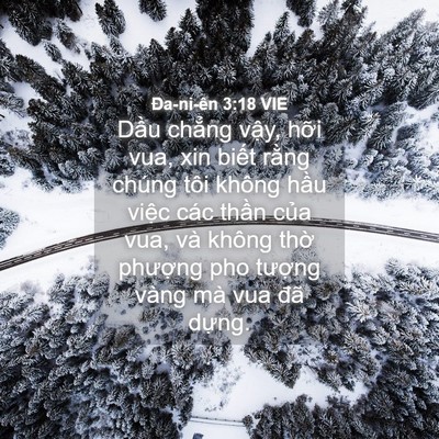 Picture 04 - Ða-ni-ên 3:18 VIE - Dầu chẳng vậy, hỡi vua, xin biết rằng - Bible Verse Picture