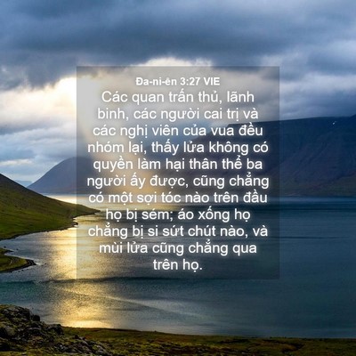 Picture 04 - Ða-ni-ên 3:27 VIE - Các quan trấn thủ, lãnh binh, các người - Bible Verse Picture