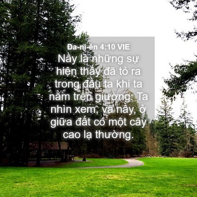 Picture 04 - Ða-ni-ên 4:10 VIE - Nầy là những sự hiện thấy đã tỏ ra - Bible Verse Picture