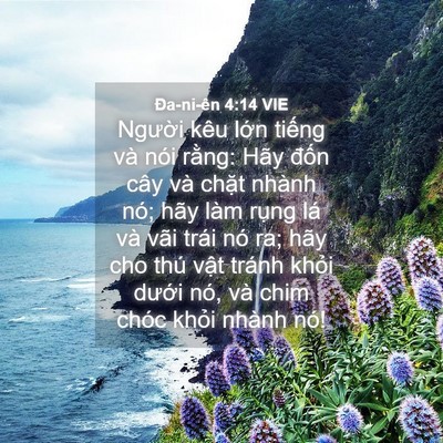 Picture 04 - Ða-ni-ên 4:14 VIE - Người kêu lớn tiếng và nói rằng: Hãy - Bible Verse Picture