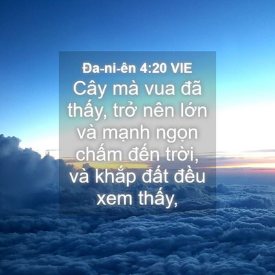 Picture 04 - Ða-ni-ên 4:20 VIE - Cây mà vua đã thấy, trở nên lớn và - Bible Verse Picture