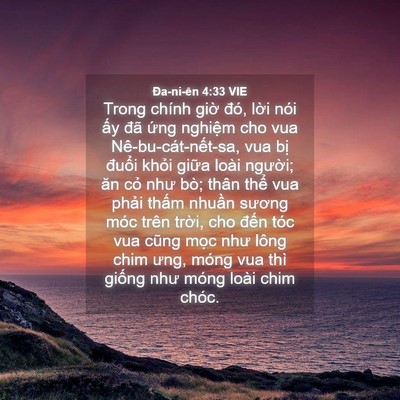 Picture 04 - Ða-ni-ên 4:33 VIE - Trong chính giờ đó, lời nói ấy đã - Bible Verse Picture