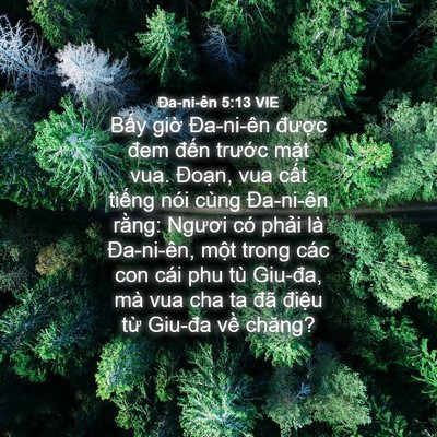 Picture 04 - Ða-ni-ên 5:13 VIE - Bấy giờ Đa-ni-ên được đem đến - Bible Verse Picture