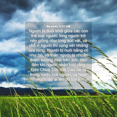 Picture 04 - Ða-ni-ên 5:21 VIE - Người bị đuổi khỏi giữa các con trai - Bible Verse Picture