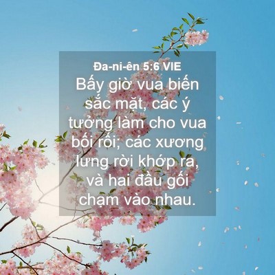 Picture 04 - Ða-ni-ên 5:6 VIE - Bấy giờ vua biến sắc mặt, các ý - Bible Verse Picture