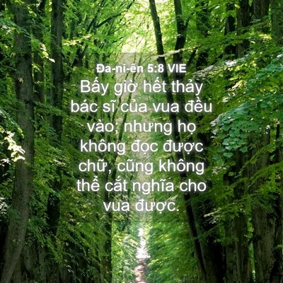 Picture 04 - Ða-ni-ên 5:8 VIE - Bấy giờ hết thảy bác sĩ của vua - Bible Verse Picture