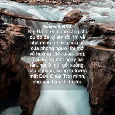 Picture 04 - Ða-ni-ên 6:10 VIE - Khi Đa-ni-ên nghe rằng chỉ dụ đó đã - Bible Verse Picture