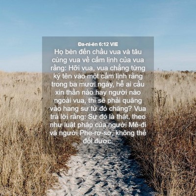 Picture 04 - Ða-ni-ên 6:12 VIE - Họ bèn đến chầu vua và tâu cùng vua - Bible Verse Picture
