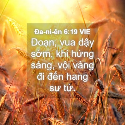 Picture 04 - Ða-ni-ên 6:19 VIE - Đoạn, vua dậy sớm, khi hừng sáng, vội - Bible Verse Picture