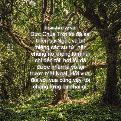 Picture 04 - Ða-ni-ên 6:22 VIE - Đức Chúa Trời tôi đã sai thiên sứ - Bible Verse Picture
