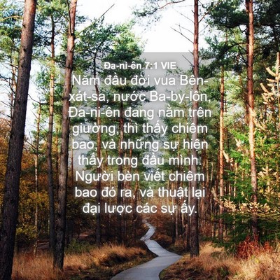 Picture 04 - Ða-ni-ên 7:1 VIE - Năm đầu đời vua Bên-xát-sa, nước - Bible Verse Picture
