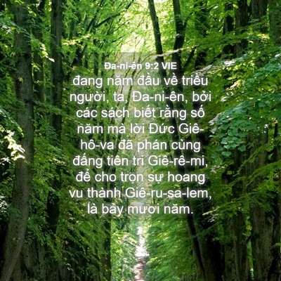 Picture 04 - Ða-ni-ên 9:2 VIE - đang năm đầu về triều người, ta, - Bible Verse Picture