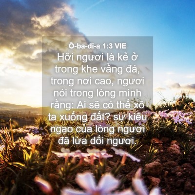 Picture 04 - Ô-ba-đi-a 1:3 VIE - Hỡi ngươi là kẻ ở trong khe vầng đá, - Bible Verse Picture