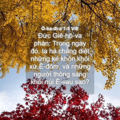 Picture 04 - Ô-ba-đi-a 1:8 VIE - Đức Giê-hô-va phán: Trong ngày đó, ta - Bible Verse Picture
